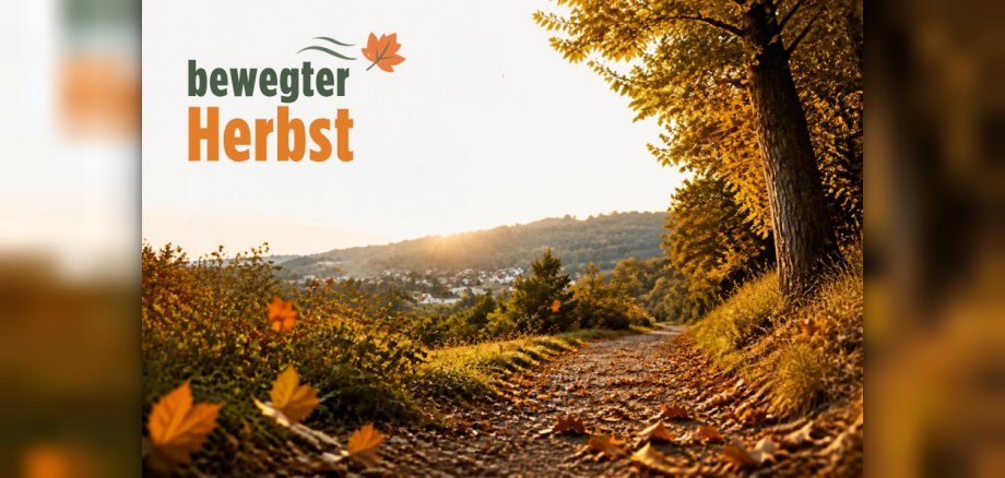Bewegter Herbst Panorama-Banner - 3 Bewegter Herbst Panorama-Banner - 3